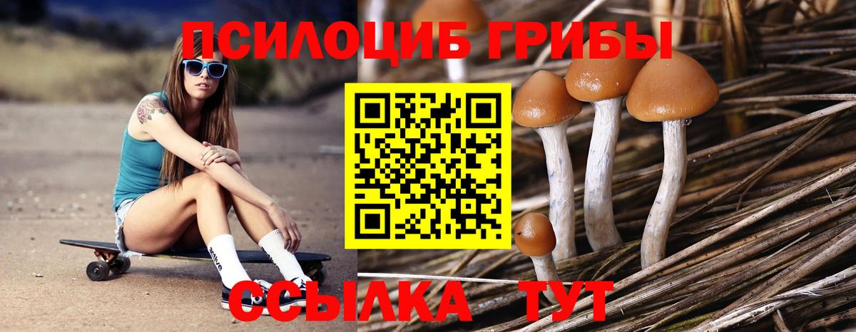 Галлюциногенные грибы Magic Shrooms  Галлюциногенные грибы мухоморы  магазин  наркотиков  Вход с VPN  Фролово 